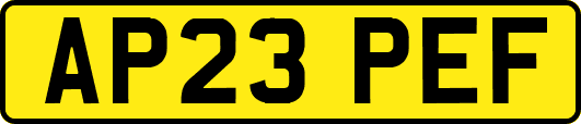 AP23PEF