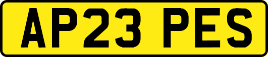 AP23PES