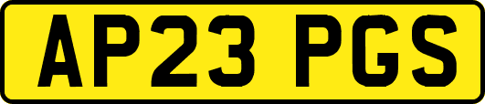 AP23PGS