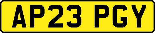 AP23PGY