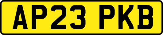 AP23PKB