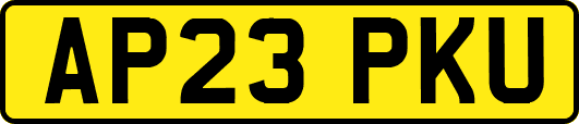 AP23PKU