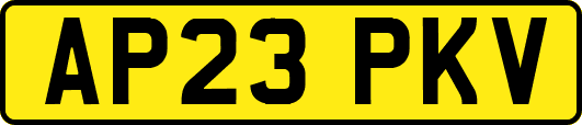 AP23PKV