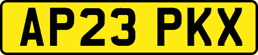AP23PKX