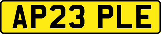 AP23PLE