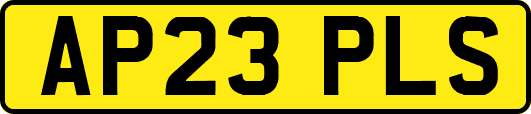 AP23PLS