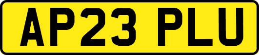 AP23PLU