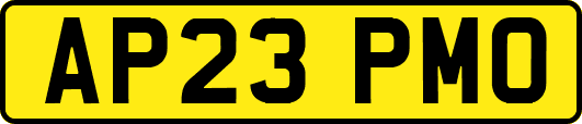 AP23PMO