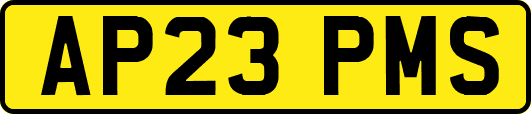 AP23PMS