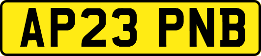 AP23PNB