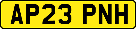 AP23PNH