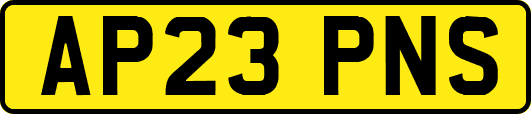 AP23PNS