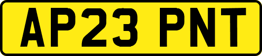AP23PNT