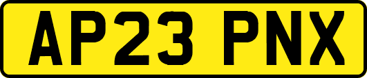 AP23PNX