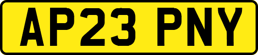 AP23PNY