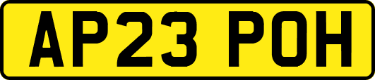 AP23POH