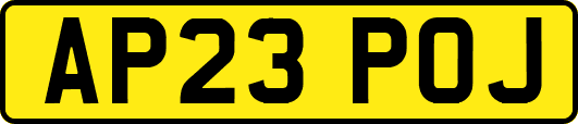AP23POJ