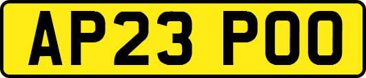 AP23POO