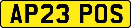 AP23POS