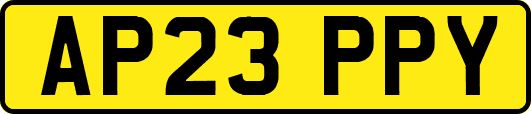AP23PPY