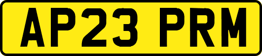 AP23PRM