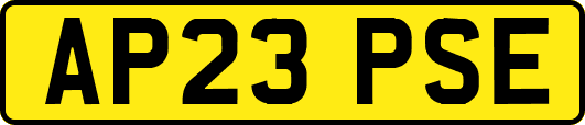 AP23PSE