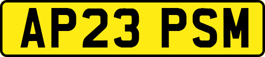 AP23PSM