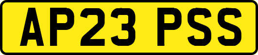 AP23PSS