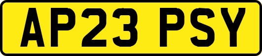 AP23PSY