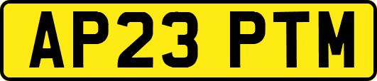 AP23PTM