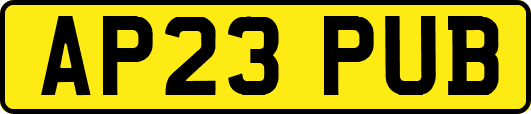 AP23PUB