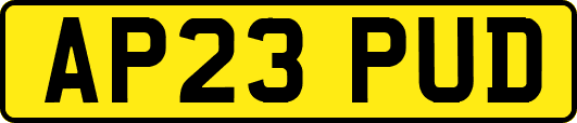AP23PUD
