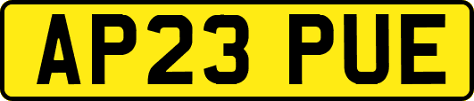 AP23PUE