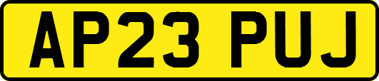 AP23PUJ