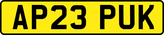 AP23PUK