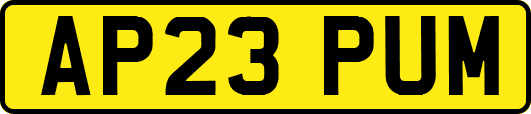 AP23PUM