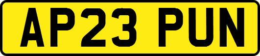 AP23PUN