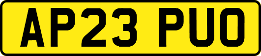 AP23PUO