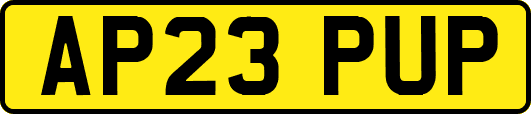 AP23PUP