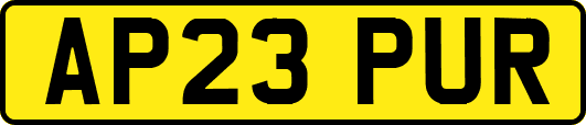 AP23PUR