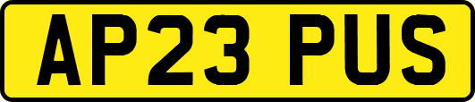 AP23PUS