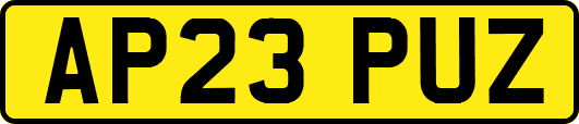 AP23PUZ