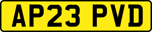 AP23PVD