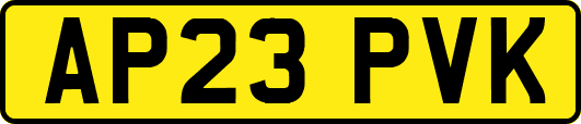 AP23PVK