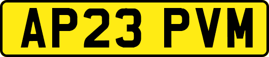 AP23PVM