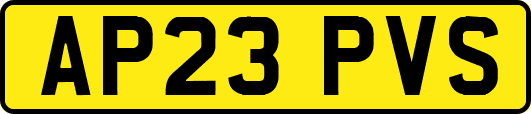 AP23PVS