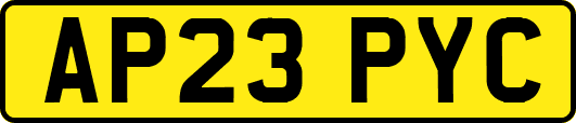 AP23PYC