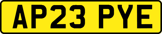 AP23PYE