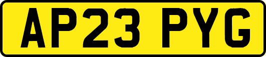 AP23PYG