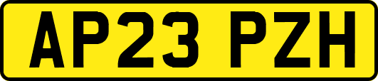 AP23PZH
